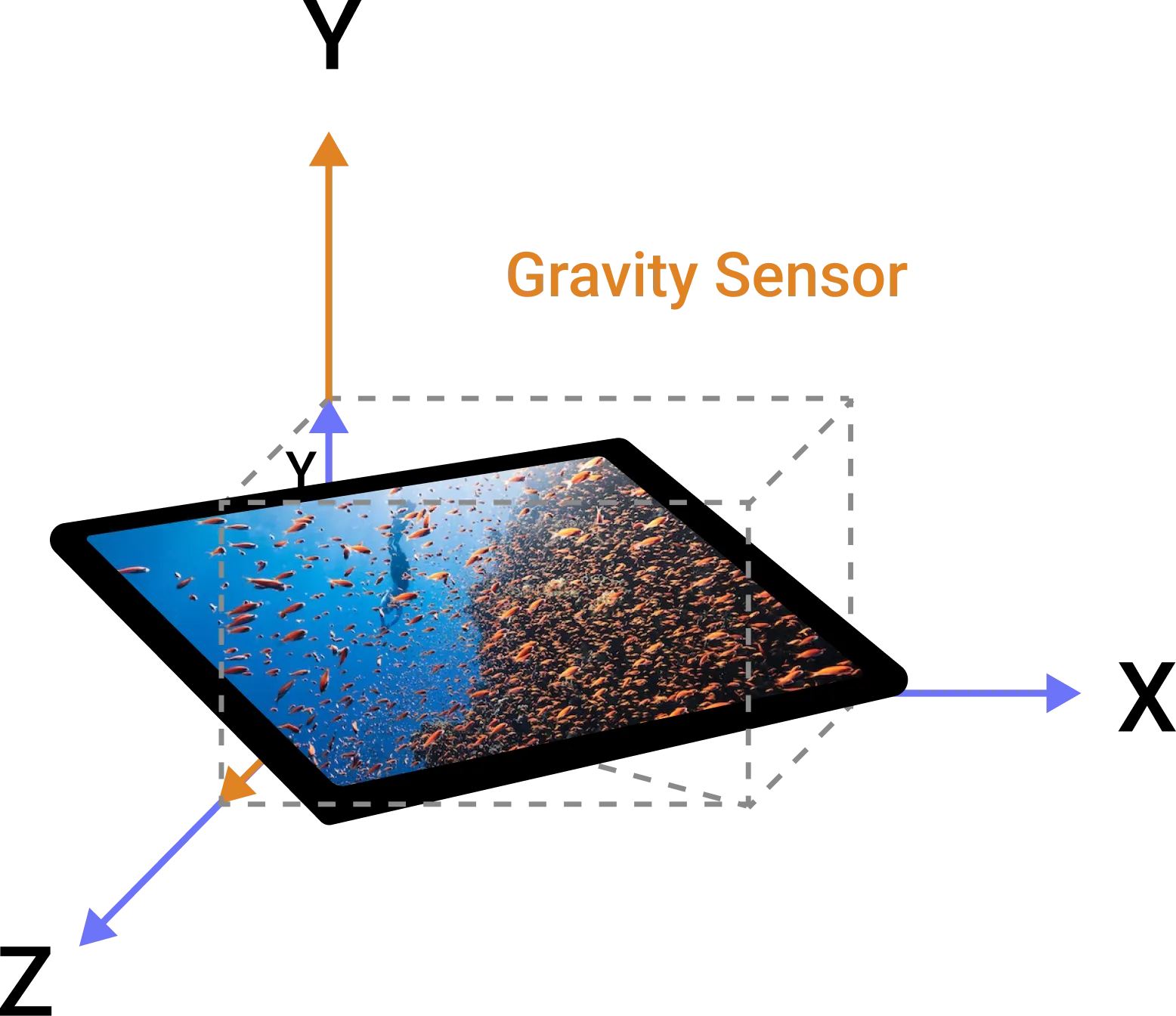 Built-in Gravity Sensor