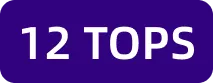 12 TOPS