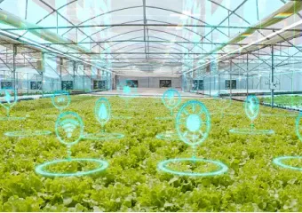 Agricultural Internet of Things