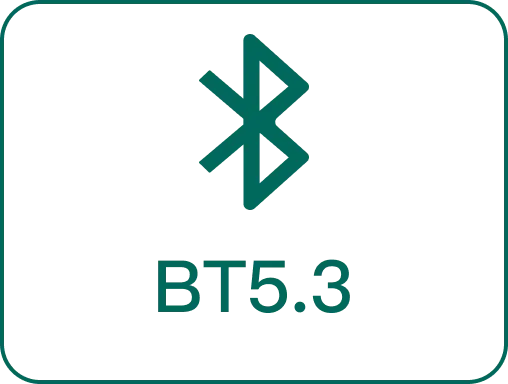 BT5.3